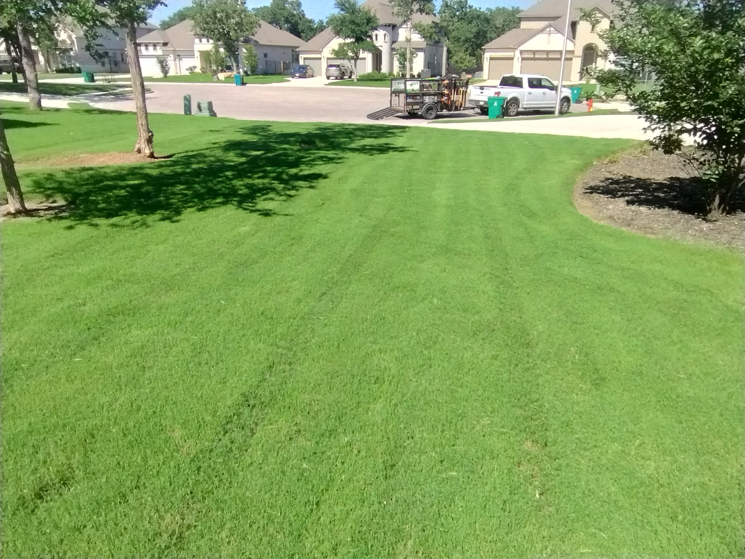 Lawn Service and Landscaping Leander TX