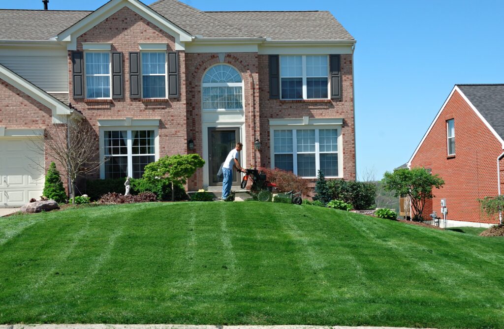 Best Lawn Care Services in Leander, TX