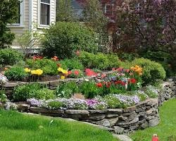 Flower Plants Hardscaping with Edging Elements